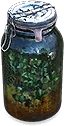 Hive Bomb