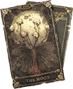 The Moon