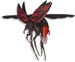 Fire Beetle