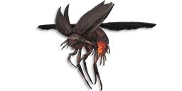 Stalker Beetle