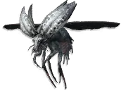 Choke Beetle